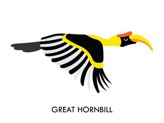 Hornbill african birds 1 © shopplaywood