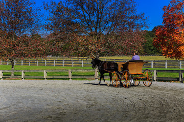 Carriage Rider competing in the James River Driving Association