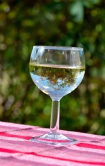 Verre de vin blanc
