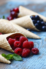 Fruits in a cone