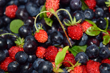 Wild berries. Background with strawberries and blueberry fruits.