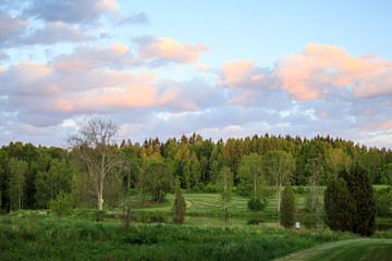 evening sky over the forest in Sweden