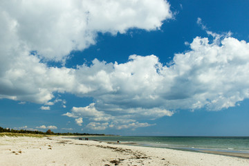 Fototapeta na wymiar Marielyst beach in Denmark