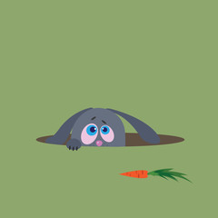 Fototapeta premium hungry rabbit