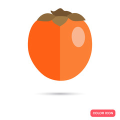 Persimmon color flat icon