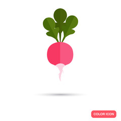 Radish color flat icon