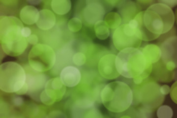 Fototapeta premium Colourful abstract bokeh design on a black background