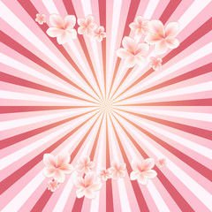 Fototapeta na wymiar Flowers background. Flowers design. Apple tree flowers. Sakura flowers on Pink rays background. Cherry blossom. Vector 