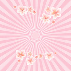 Fototapeta na wymiar Flowers background. Flowers design. Apple tree flowers. Sakura flowers on light Pink rays background. Cherry blossom. Vector 