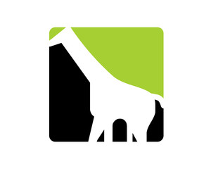 Animal Giraffe Logo Icon Vector