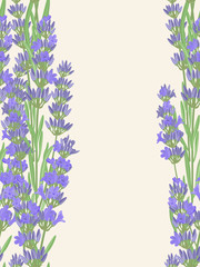 Fototapeta premium Bright vector seamless background with sprigs of lavender.