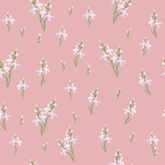 Seamless pattern with flowers Matthiola or evening primrose. 