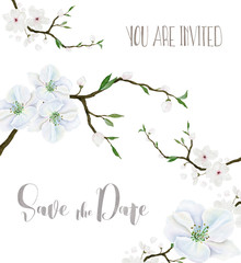Watercolor card template with blooming apple tree