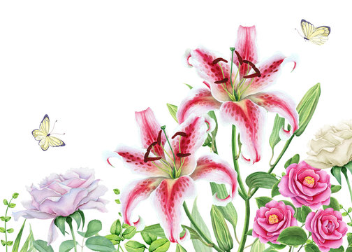 Watercolor floral image with lily, camellia and rose flowers