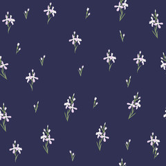 Seamless pattern with flowers Matthiola or evening primrose. 