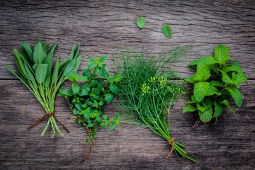 Various aromatic herbs and spices from garden fennel ,rosemary,o