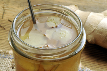 Կոճապղպեղ ಶುಂಠಿ இஞ்சி అల్లం ขิง Zingiber officinale Zenzero Ingefära Ginger Imbir lekarski Имбирь аптечный زنجبيل Gengibre Gingembre זנגביל