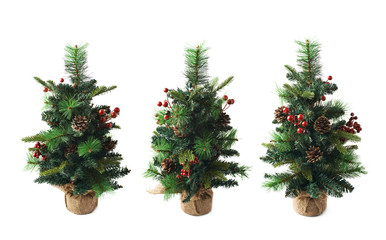 Small artificial Christmas tree isolated