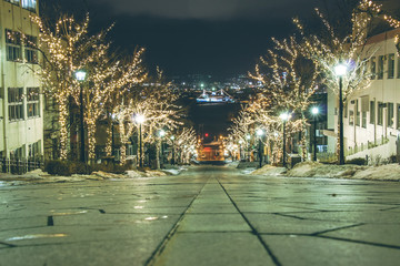 light of road to harbour at night in Hakodate