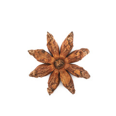 Chinese star anise seed isolated