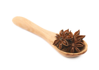 Chinese star anise seed isolated