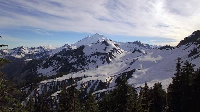 Aerial Fly Through Tree Frame to Snowy Mountain Range with Mt Baker on Sunny Day