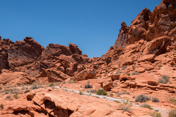 Fototapeta premium Valley of Fire State Park
