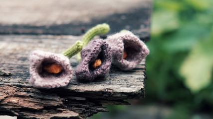 Knitted tulip flower