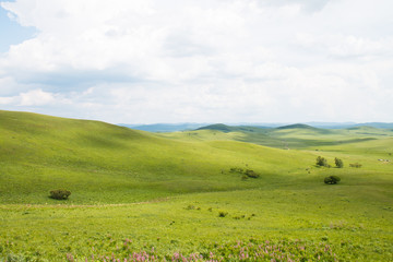 Fototapeta na wymiar China Inner Mongolia natural grassland