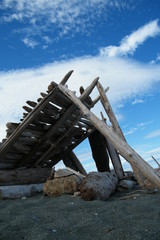 Fototapeta na wymiar Driftwood Shelter on a Sandy Beach with Clouded Blue Sky