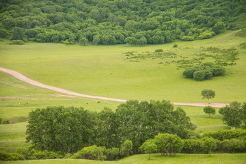 China Inner Mongolia natural grassland