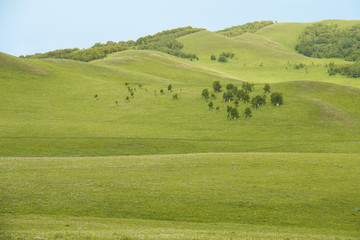 Fototapeta na wymiar China Inner Mongolia natural grassland