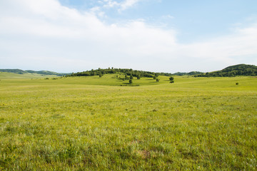 China Inner Mongolia natural grassland