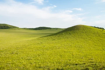 Foto op Canvas China Inner Mongolia natural grassland © daizuoxin