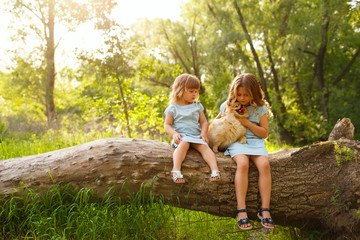 Fototapeta premium Little girl hugging Spitz