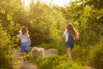 Fototapeta premium Little sisters walking with the dog