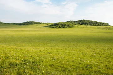 Zelfklevend Fotobehang Natuur China Binnen-Mongolië natuurlijk grasland