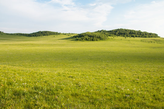 Fototapeta China Inner Mongolia natural grassland