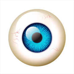 Super Detail Blue Eye isolated illustration on white background