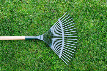 rake on a wooden stick, collecting grass clippings, garden tools
