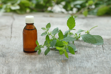 melissa oil container with melissa leaves