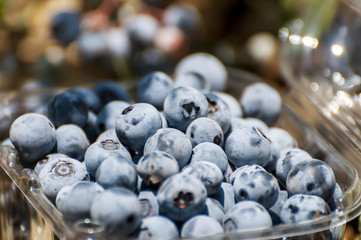 Bog bilberry, bog blueberry, northern bilberry or western blueberry (Vaccinium uliginosum) collected in a farm of Ein-Zivan at the Golan heights. Eil-Zivan, Israel, July 2016.