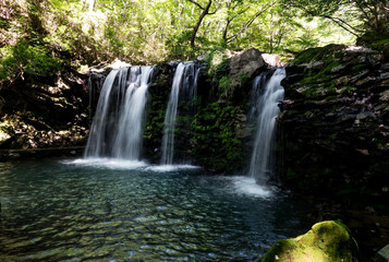 Fototapeta premium 暮雨の滝