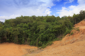 Fototapeta na wymiar Deforestation environmental destruction of Borneo rainforest. Clearing jungle forest to make way for oil palm plantations.