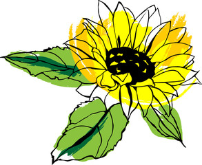 Scalable vector drawing of yellow sunflower with green leaves