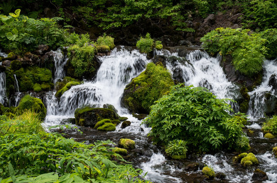 北海道京極町の羊蹄山の伏流水の湧き出し 