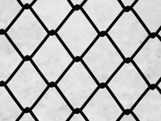 wire mesh
