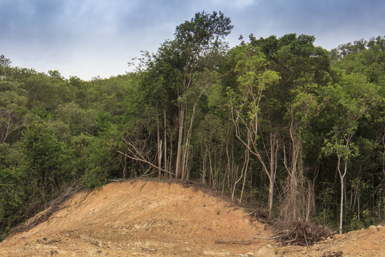Deforestation: Scarred earth where tropical rain forest has been destroyed by human development in Borneo, Malaysia    