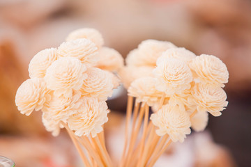 flower background. beautiful flowers made with color filters