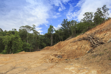 Deforestation: Scarred earth where tropical rain forest has been destroyed by human development in Borneo, Malaysia     © Richard Carey